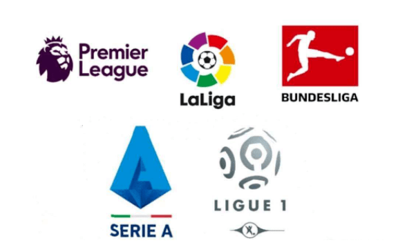 仅体现在个 仅体现在个